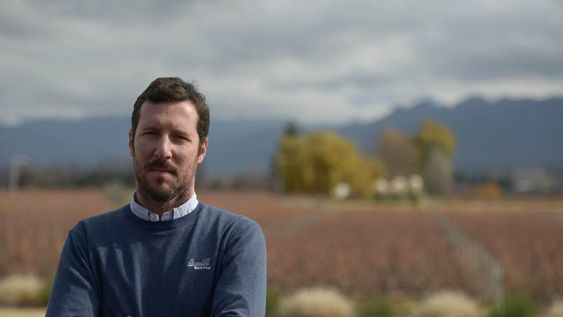 Los dos varietales que mejor representan el vino argentino, según enólogo francés