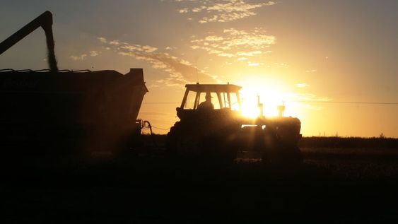 Fue el sector que mejor arreglo salarial tuvo y logró 55%. Sin embargo, es el sector que menos paga tomando el promedio: $ 24.430. / Gentileza: Clarín