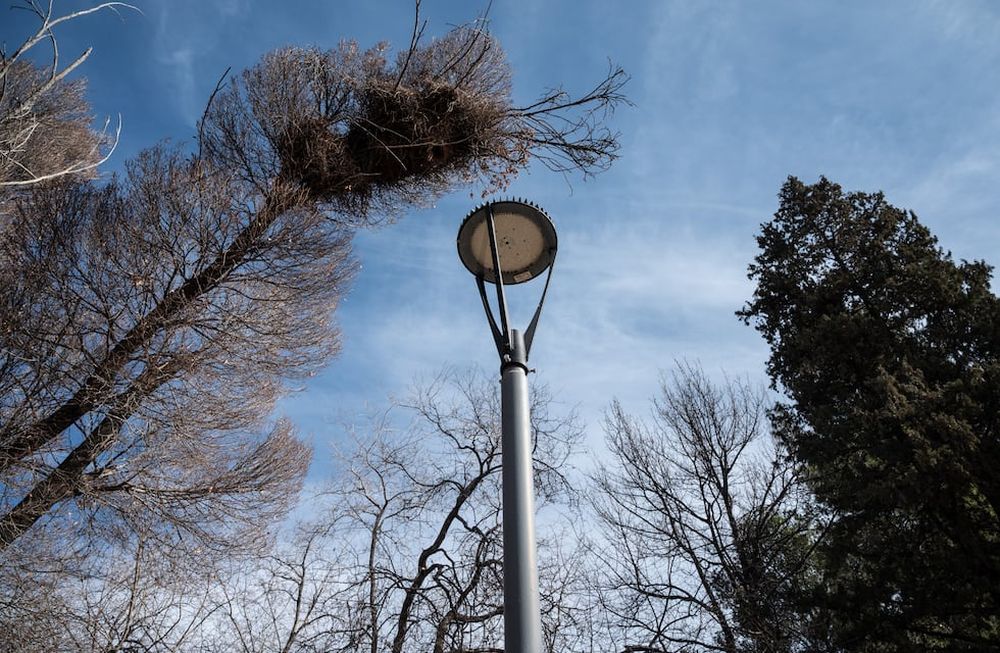 La Ciudad sigue mejorando la iluminación de sus paseos públicos y arterias