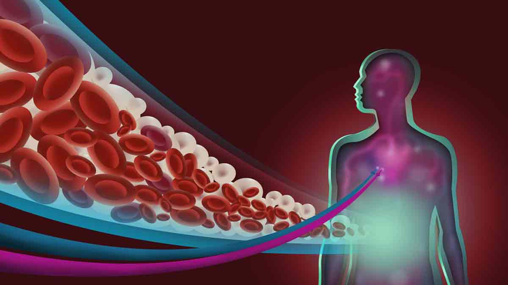 El alimento que regula el azúcar en sangre, sacia el apetito y ayuda a adelgazar, según la ciencia