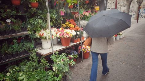 Los Andes | En menos de un mes, robaron y destozaron dos veces un tradicional puesto de flores del Kilómetro Cero. Foto: Ignacio Blanco / Los Andes.