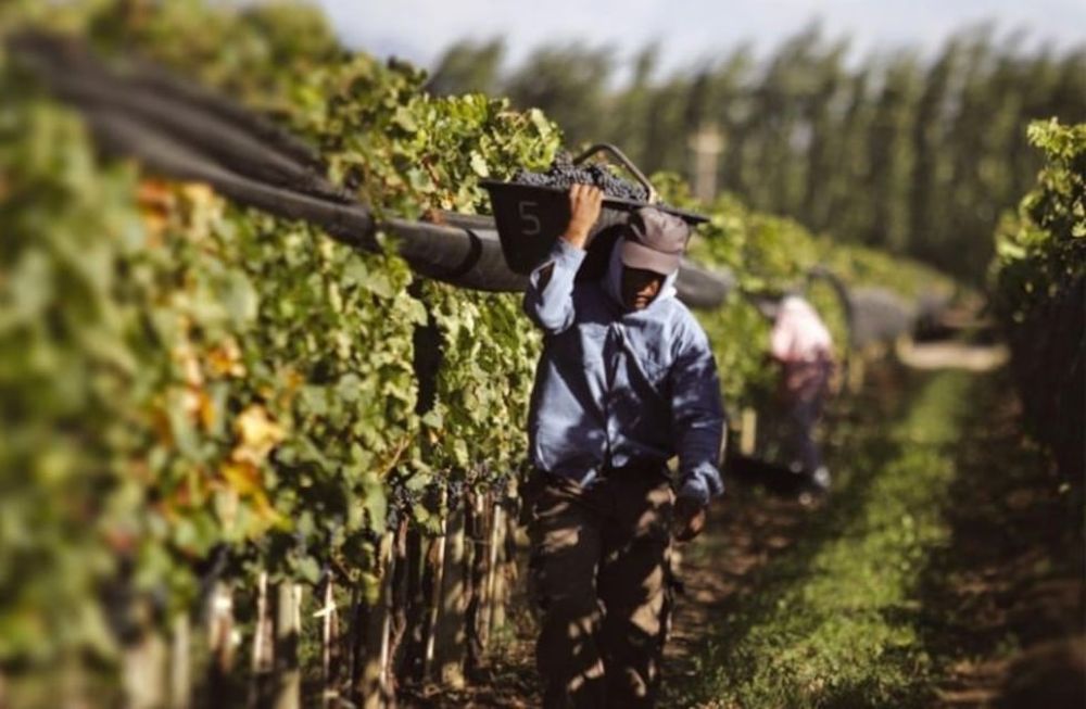 Los empleados de viña y de bodega tendrán un 110% de aumento en sus salarios, en dos cuotas, en marzo y abril