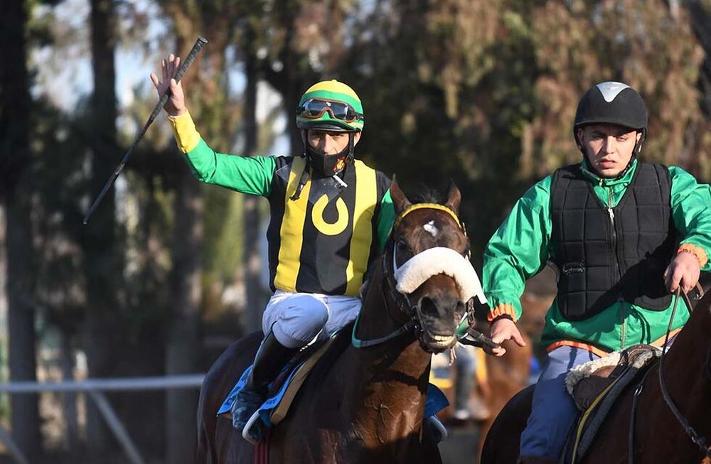 Bajo la monta de Daniel Gómez, Macklin se impuso el año pasado en el Vendimia y en el Clásico Santo Patrono Santiago.Foto: José Gutiérrez / Los Andes