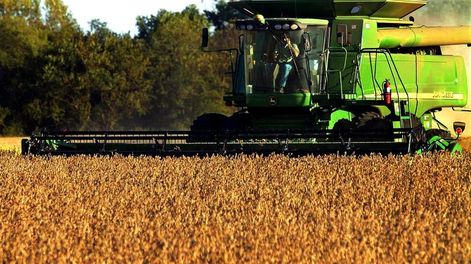 La suspensión momentánea de retenciones al agro generó un fuerte incremento en las exportaciones