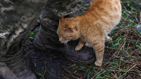 La categoría infantil de la competencia fue cancelada luego de que sectores denunciaran que los niños podían confundirse y matar mascotas. Foto: Reuters