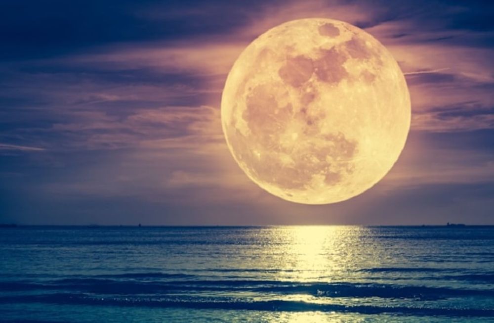 Cada 20 de julio se conmemora la llegada del hombre a la Luna.