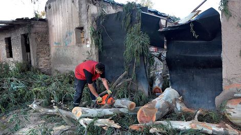En Las Heras, un eucalipto fue derribado por el viento y quedó incrustado en el techo de una casa. | Foto:  Orlando Pelichotti / Los Andes