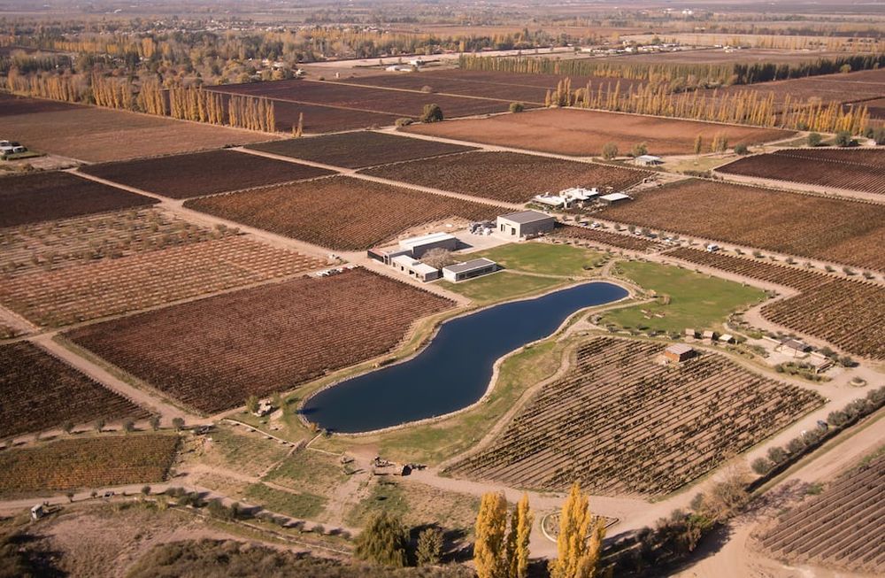 Un plano aéreo de Finca Victoria de Bodega Durigutti en Las Compuertas, Luján de Cuyo, la bodega argentina que llegó al puesto 10.