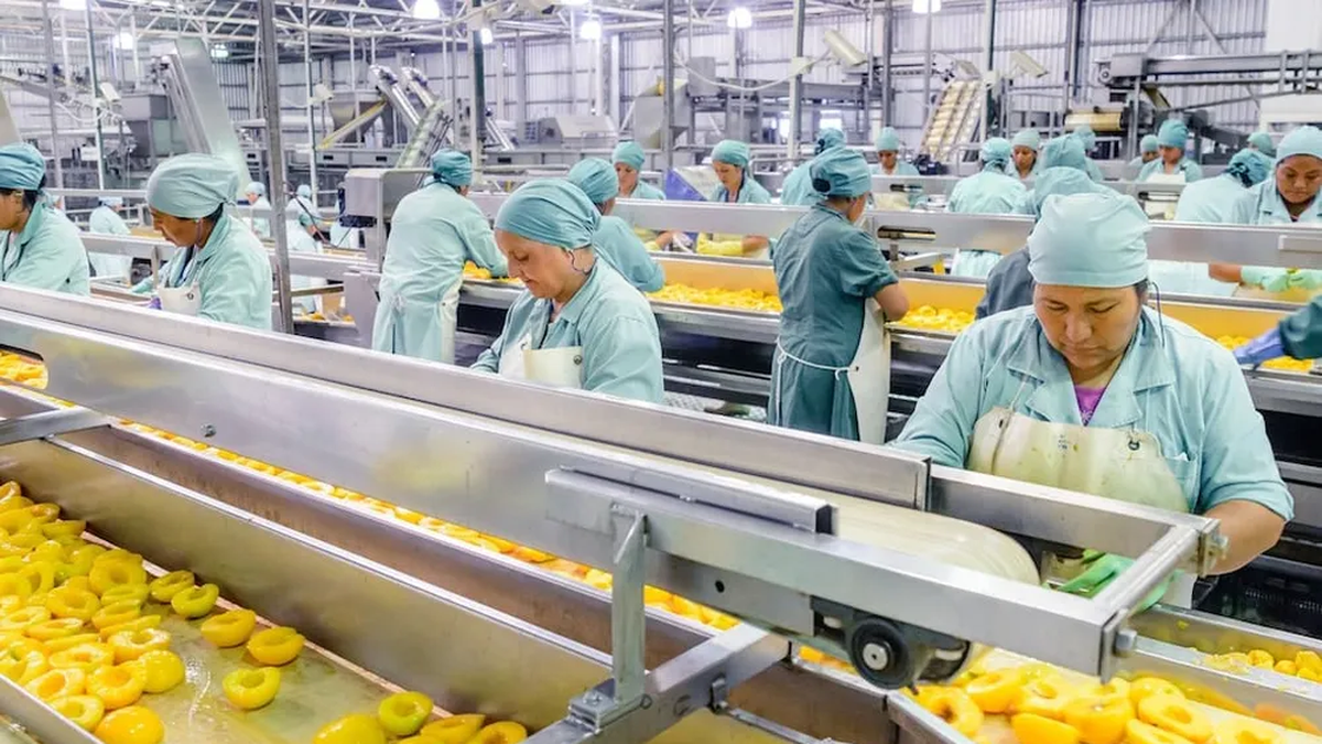 Producto Bruto: Mendoza creció un punto menos que Argentina en 2025