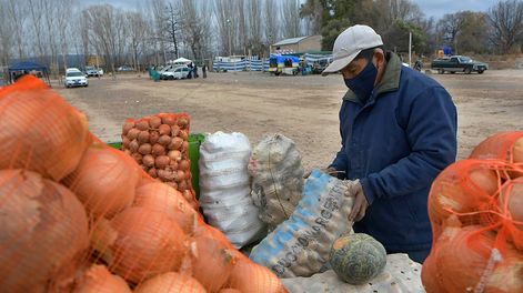 Los Andes | Un análisis del IDR muestra cuál ha sido la pérdida de poder adquisitivo de los agricultores, al comparar cuánto aumentó el precio que les pagan por las hortalizas y el que deben pagar ellos al comprar ciertos productos. Foto: Los Andes