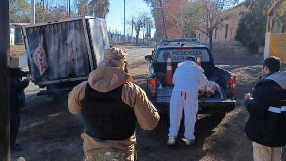 Operativo realizado en un puesto de control fijo de Las Heras, donde 240 kilos de carne eran llevados directamente sobre el piso de la cámara del vehículo.&nbsp;