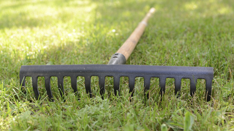 Reciclaje paso a paso en casa