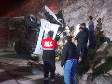 volco un camion jaula en la cuesta de los terneros: cinco caballos muertos y el chofer herido volco un camion jaula en la cuesta de los terneros: cinco caballos muertos y el chofer herido