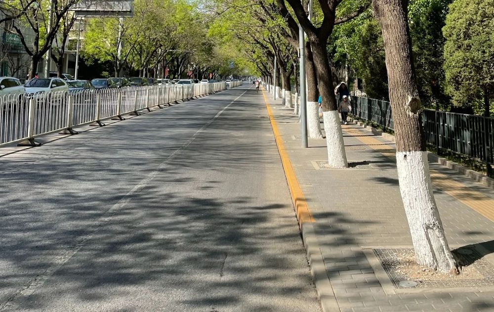 Pintar los árboles de blanco es una práctica ideal ante la llegada de la primavera porque ayuda a algunas especies a desarrollarse mejor.