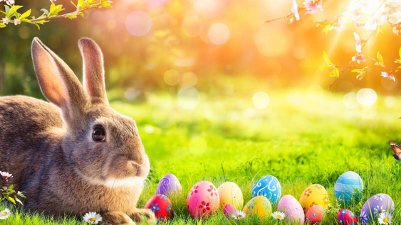 Cuál es el origen del conejo de Pascua y el significado que casi nadie conoce