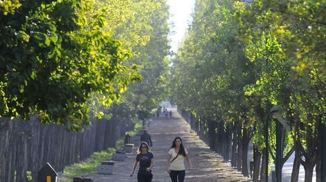 Pronóstico: así estará el tiempo esta semana en Mendoza.