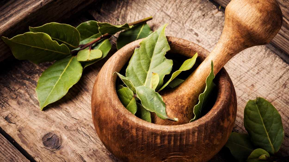 Los trucos naturales, como usar hojas de laurel, son aliados efectivos para cuidar el hogar y mantenerlo libre de roedores sin químicos dañinos.