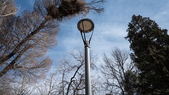 La Ciudad sigue mejorando la iluminación de sus paseos públicos y arterias