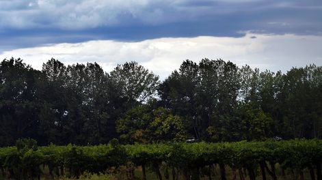 Foto: Orlando Pelichotti / Los Andes