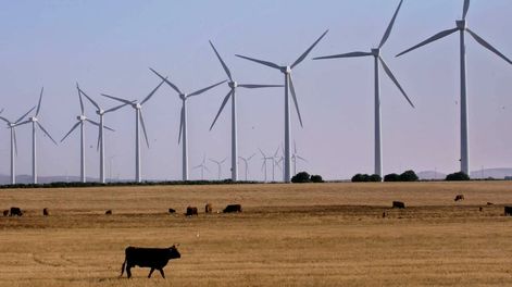 El recurso eólico: aprovechar la energía del viento