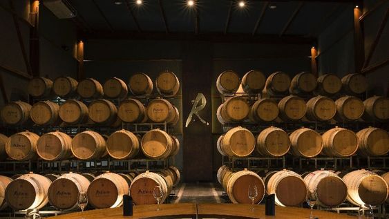 La línea de orgánicos de Bodega Renacer sigue creciendo