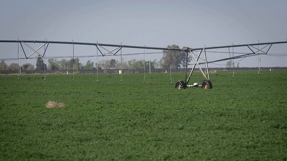 El combate activo de heladas con agua gana popularidad por su eficiencia, pero entra en discusión por la falta del recurso hídrico. / Foto: Ignacio Blanco / Los Andes