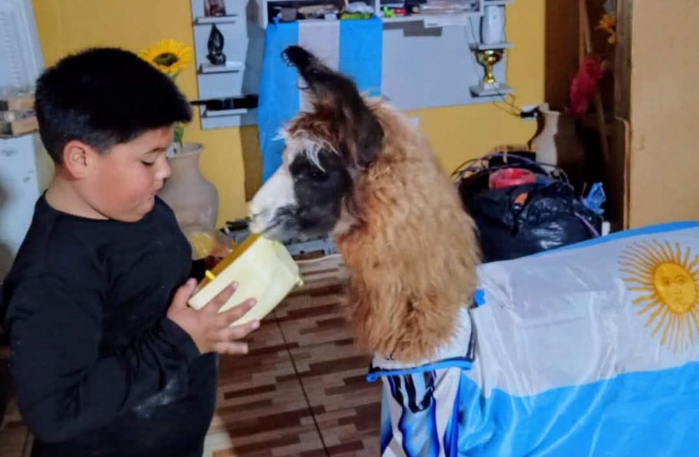 La llama "Bebé" volvió a ser protagonista tras la victoria argentina.