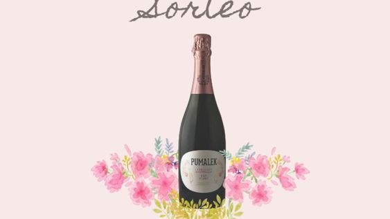 ¿Te gusta el espumante? Ganate una caja de Pumalek Brut Rosado