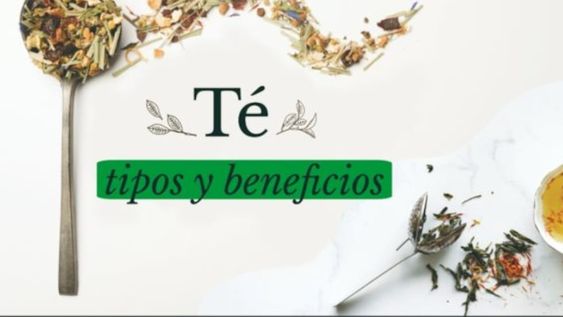 Inscribite hoy y descubrí al Té, sus tipos y beneficios