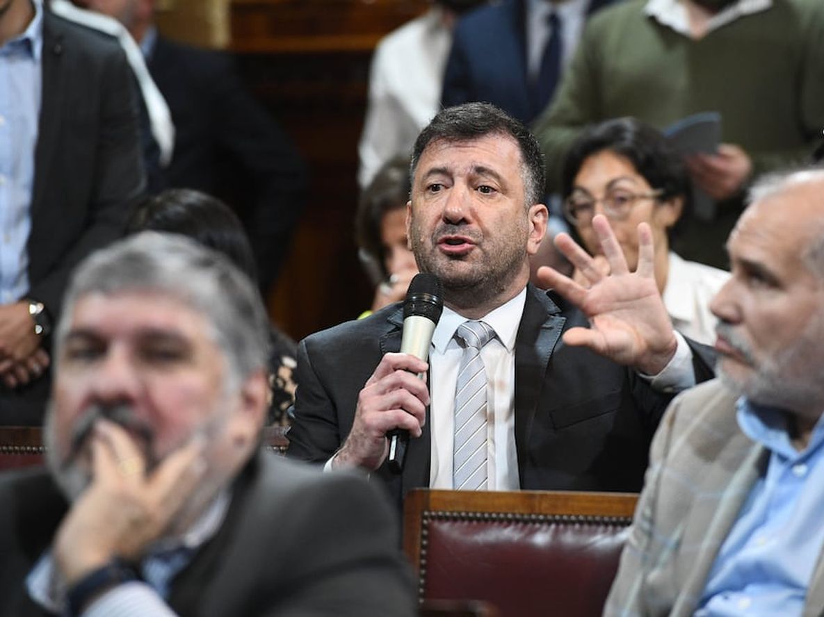 El senador entrerriano Edgardo Kueider en la Comisión de Energía del Senado (Foto: Comunicación Senado)