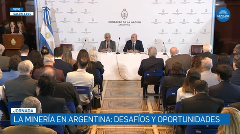 Seguí en vivo la sesión en Senadores: La Minería en Argentina: desafíos y oportunidades