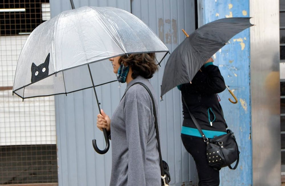 “Parcialmente nublado con precipitaciones aisladas y descenso de la temperatura, vientos moderados del sector surFoto: Orlando Pelichotti