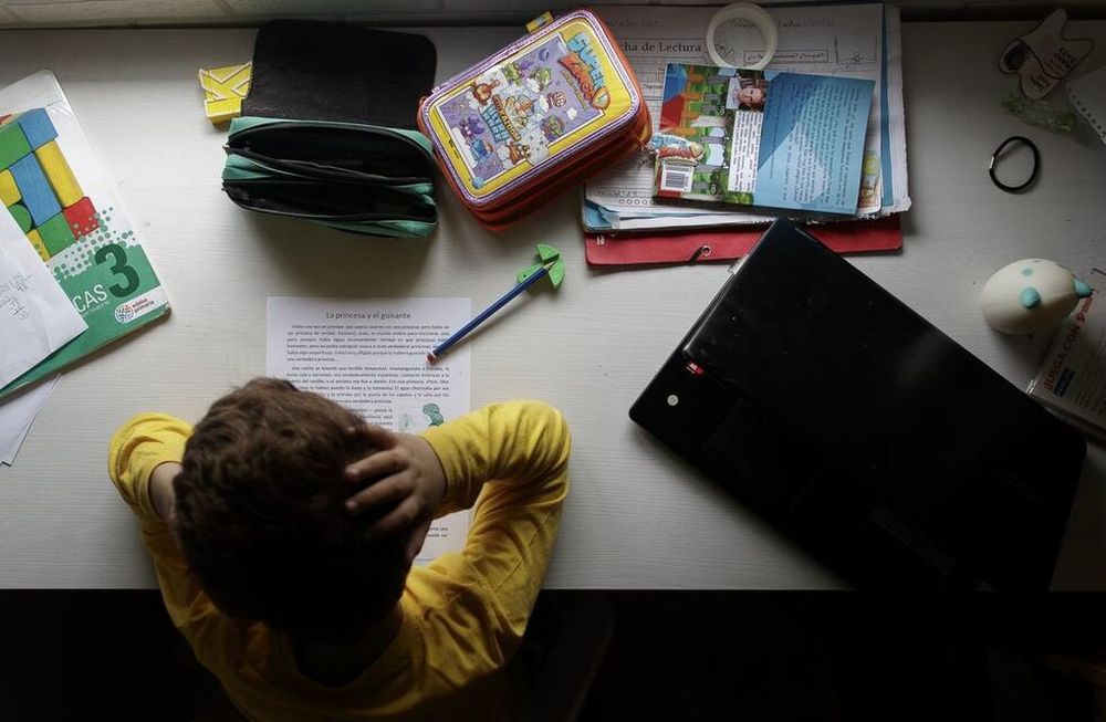 Zamarbide propone liberar datos de estudiantes para acceder a contenidos educativos online