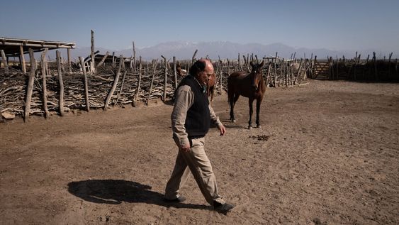Ricardo Enrique Luffi vive hace casi 60 años en el puesto la Lagunita, en San Carlos, y  con su esposa se dedican a la cría de ganado - Foto: Ignacio Blanco / Los Andes