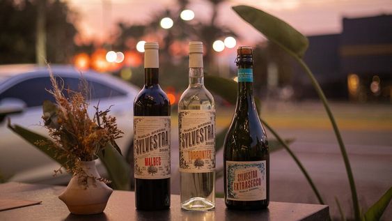 Sylvestra Open Garden, un formato innovador en Bodega Bressia