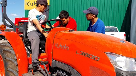 Aumentan las capacitaciones para los puestos de trabajos en el agro mendocino y otras industrias.