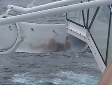 Una mujer quedó atrapada en un tobogán acuático de un crucero: Mi peor pesadilla