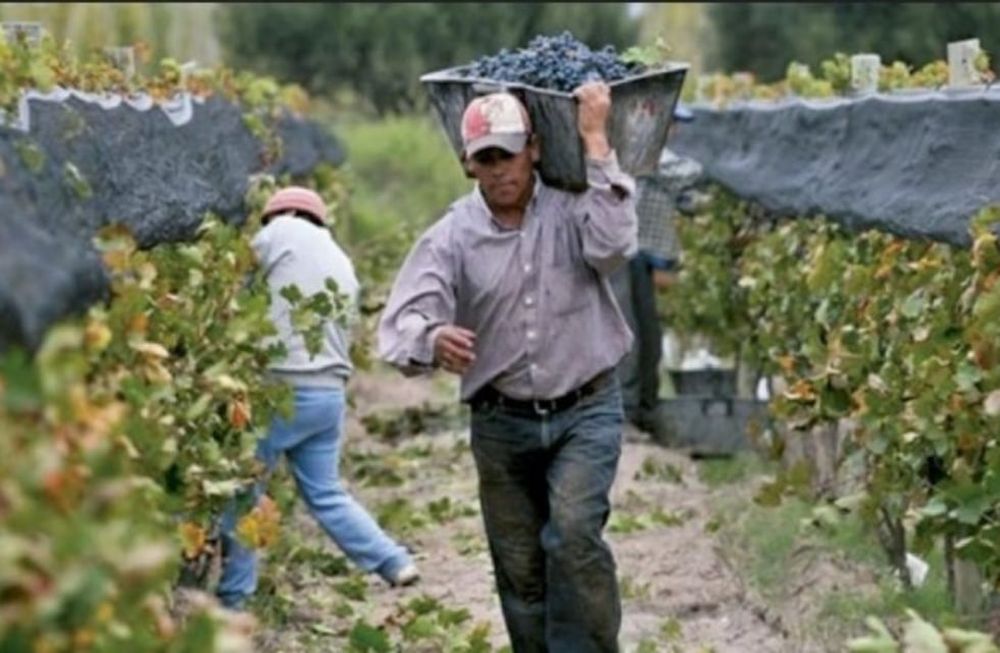 Soeva busca duplicar el salario de los trabajadores de viña y bodegas para el 2023.