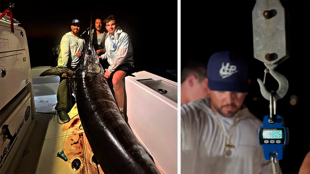 Pesca récord en Florida: capturaron un pez espada de 227 kilos
