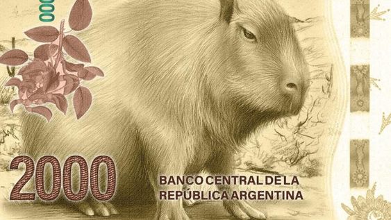 Los memes por el billete de 2000 pesos - Twitter