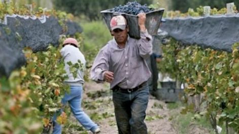 Soeva busca duplicar el salario de los trabajadores de viña y bodegas para el 2023.