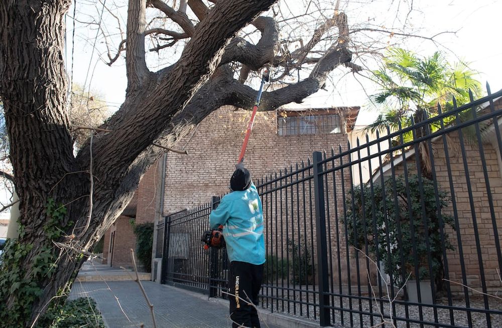 Trabajos de mantenimiento tras la tormenta de este martes