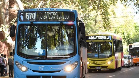 Los Andes | Por qué cada 24 de septiembre se celebra el Día del ColectivoFoto: José Gutierrez / Los Andes