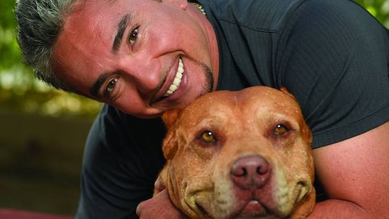 Cómo lograr que tu perro te obedezca