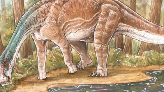 Inawentu oslatus, el imitador del saurópodo rebaquisáurido que habitó la Tierra durante el período Cretácico Superior. Foto: Gentileza CONICET