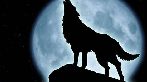 Luna llena de lobo: cuándo y a qué hora verla en Argentina, qué significa (Imagen ilustrativa / Web)