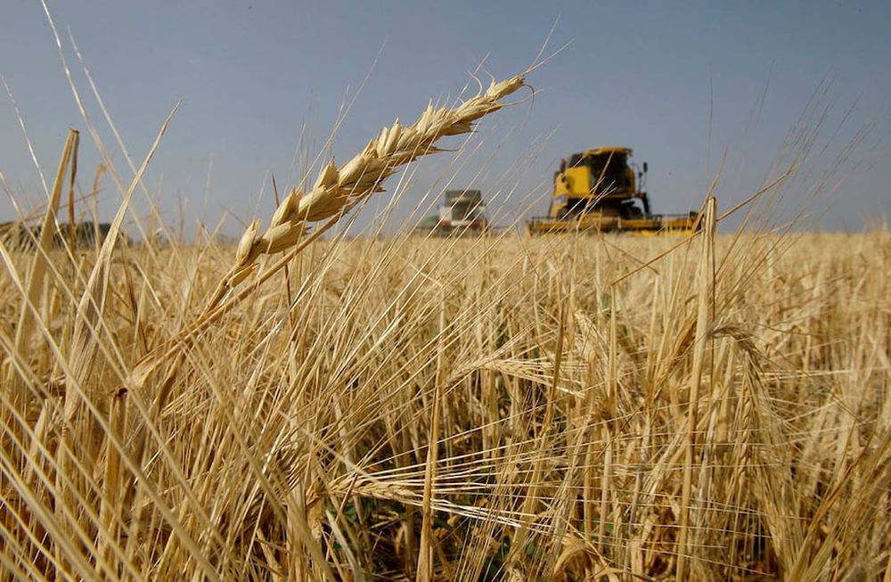 Las restricciones a las importaciones afectan a todas las actividades económicas de Argentina, una de las provincias más afectadas es Mendoza, sin lugar a dudas.