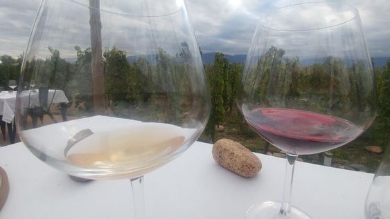 Cata doméstica, el encanto de acercarse al vino