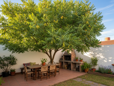 El árbol que espanta insectos y decora el jardín sin esfuerzo