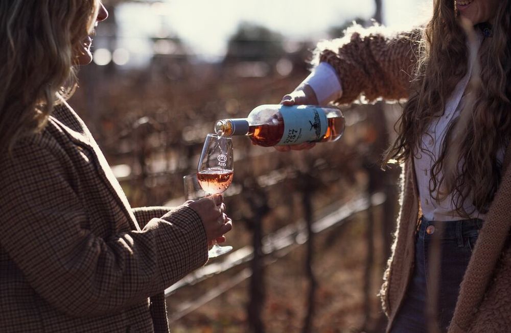 La bodega A16 expone sus vinos en la feria de Guarda14